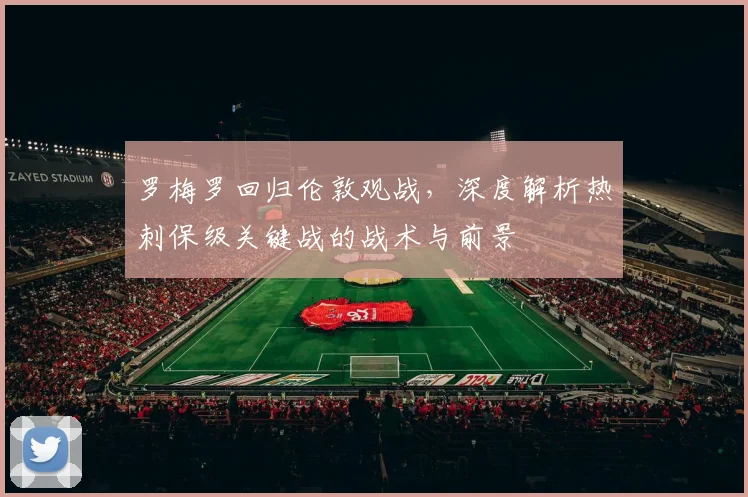 罗梅罗回归伦敦观战,深度解析热刺保级关键战的战术与前景