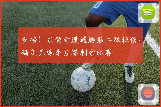 重磅!东契奇遭遇腿筋二级拉伤,确定无缘季后赛剩余比赛